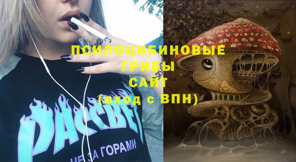 ECSTASY Белокуриха