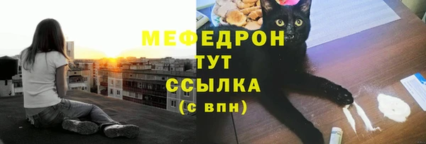 ECSTASY Белокуриха
