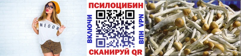Галлюциногенные грибы MAGIC MUSHROOMS  где продают наркотики  Каневская 